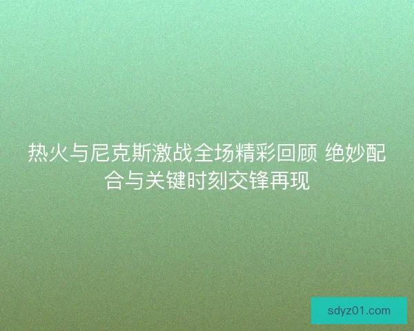 热火与尼克斯激战全场精彩回顾 绝妙配合与关键时刻交锋再现