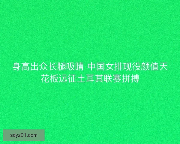 身高出众长腿吸睛 中国女排现役颜值天花板远征土耳其联赛拼搏