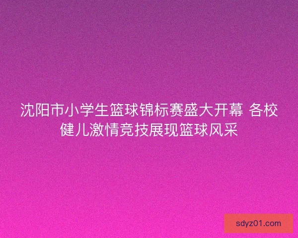 沈阳市小学生篮球锦标赛盛大开幕 各校健儿激情竞技展现篮球风采